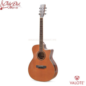 Đàn Guitar Acoustic VALOTE VA-302W 0