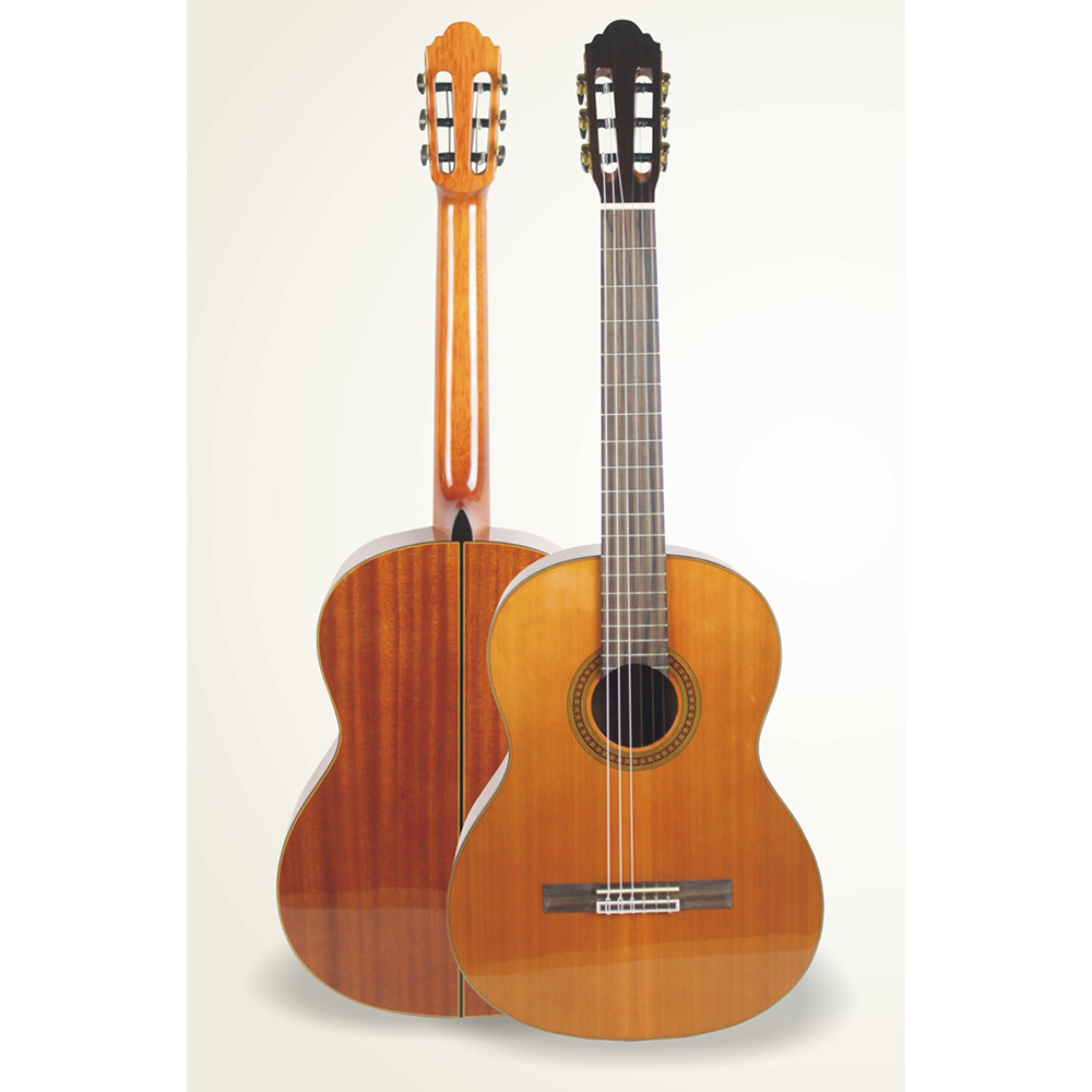 dan guitar classic valote 1 1