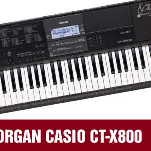 Đàn Organ điện tử Casio CT-X800 4