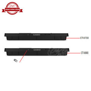 Đàn Organ điện tử Casio CT-X800 1