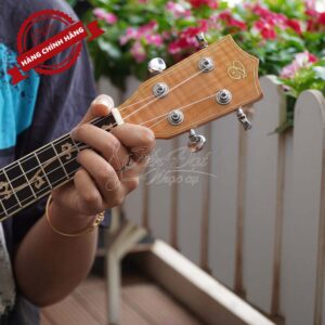 Đàn Ukulele Chard U-24H 9
