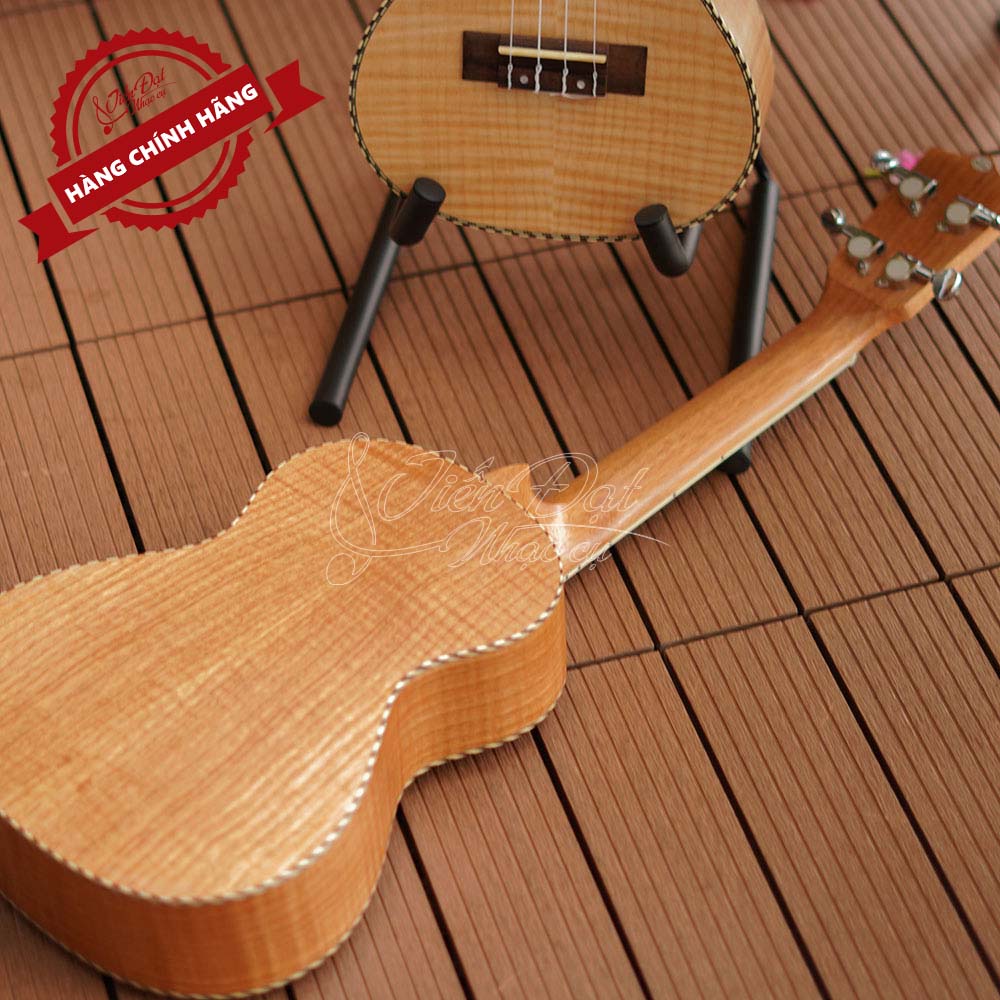 Đàn Ukulele Chard U-24H 6