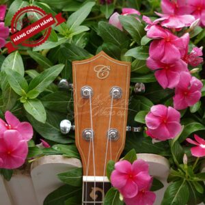 Đàn Ukulele Chard U-24H 10