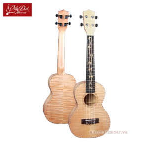 Đàn Ukulele Chard U-24H