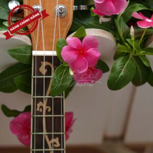 Đàn Ukulele Chard U-24H 8