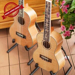 Đàn Ukulele Chard U-24H 5