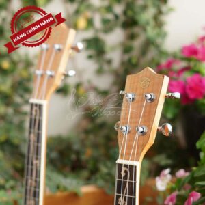 Đàn Ukulele Chard U-24H 3