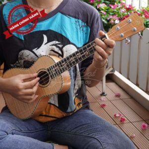 Đàn Ukulele Chard U-24H 12