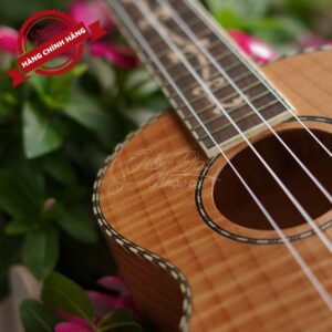 Đàn Ukulele Chard U-24H 7